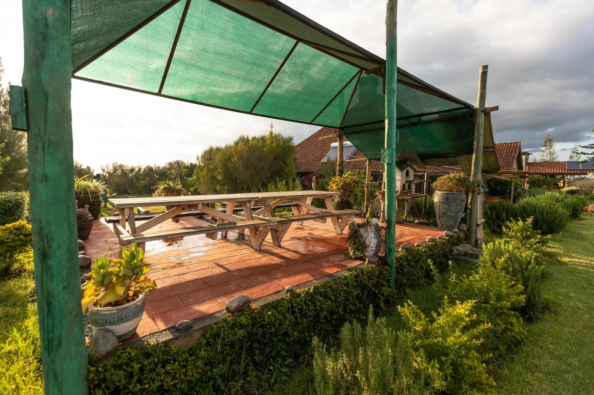 Mount Kenya Farm Stay Nanyuki Eksteriør billede